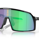 Polished Black / Prizm Jade