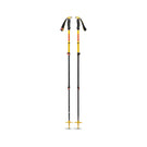 Traverse 3 Ski Poles