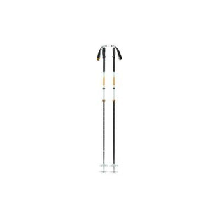 Traverse Pro ski poles BD