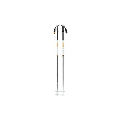 Traverse Pro foam green 140 ski poles