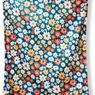 Festival Blanket