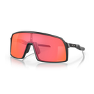 Matte Black/Prizm trail torch