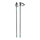 Adult Regular Ski Set Rental - 1 day